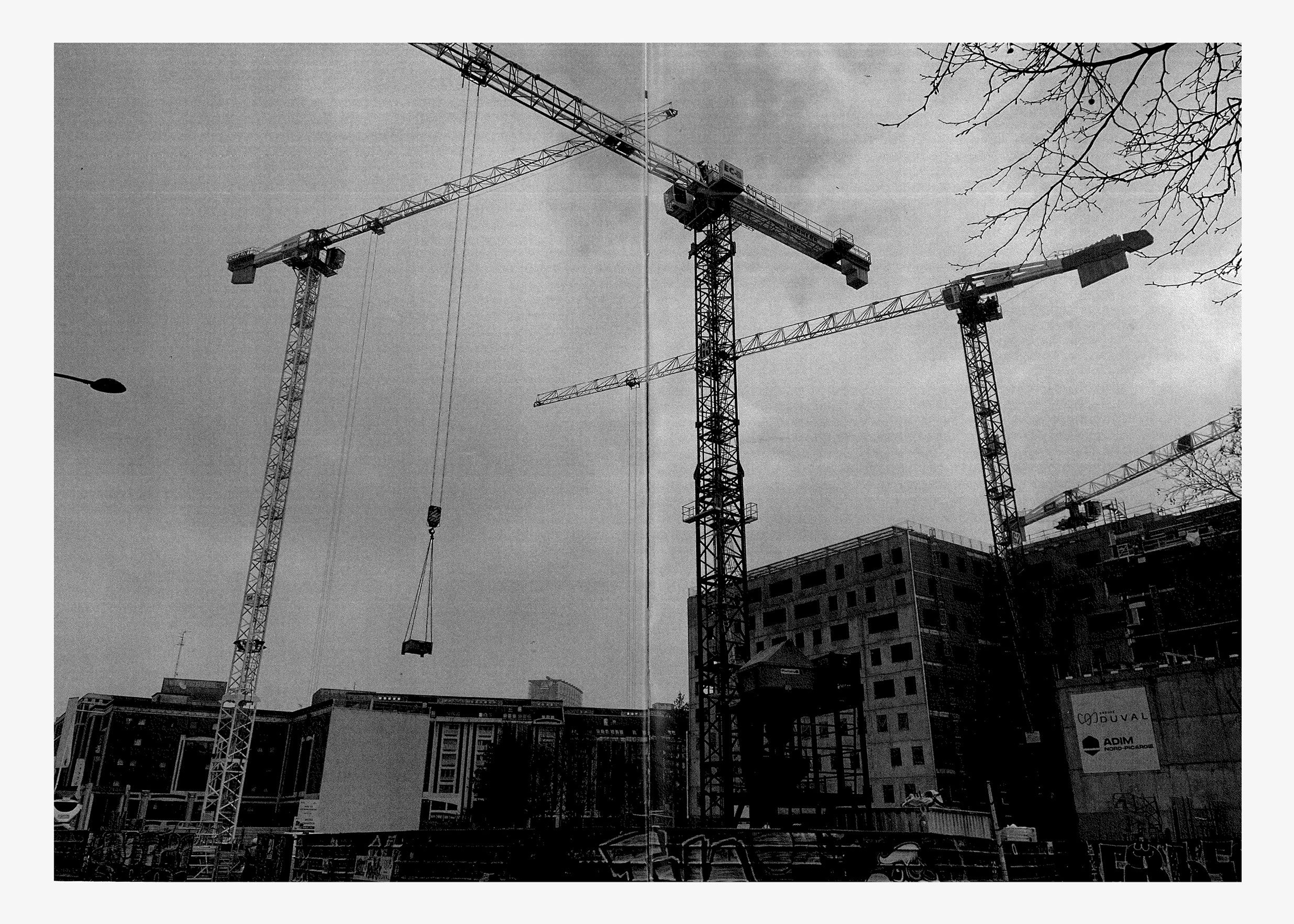 photographie de grues